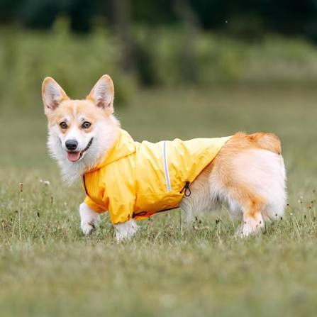 Cozy Clothing For Everyday Adventures