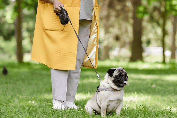 Making Outdoor Walks More Enjoyable
