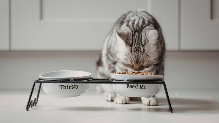 Simple Solutions For Better Mealtimes